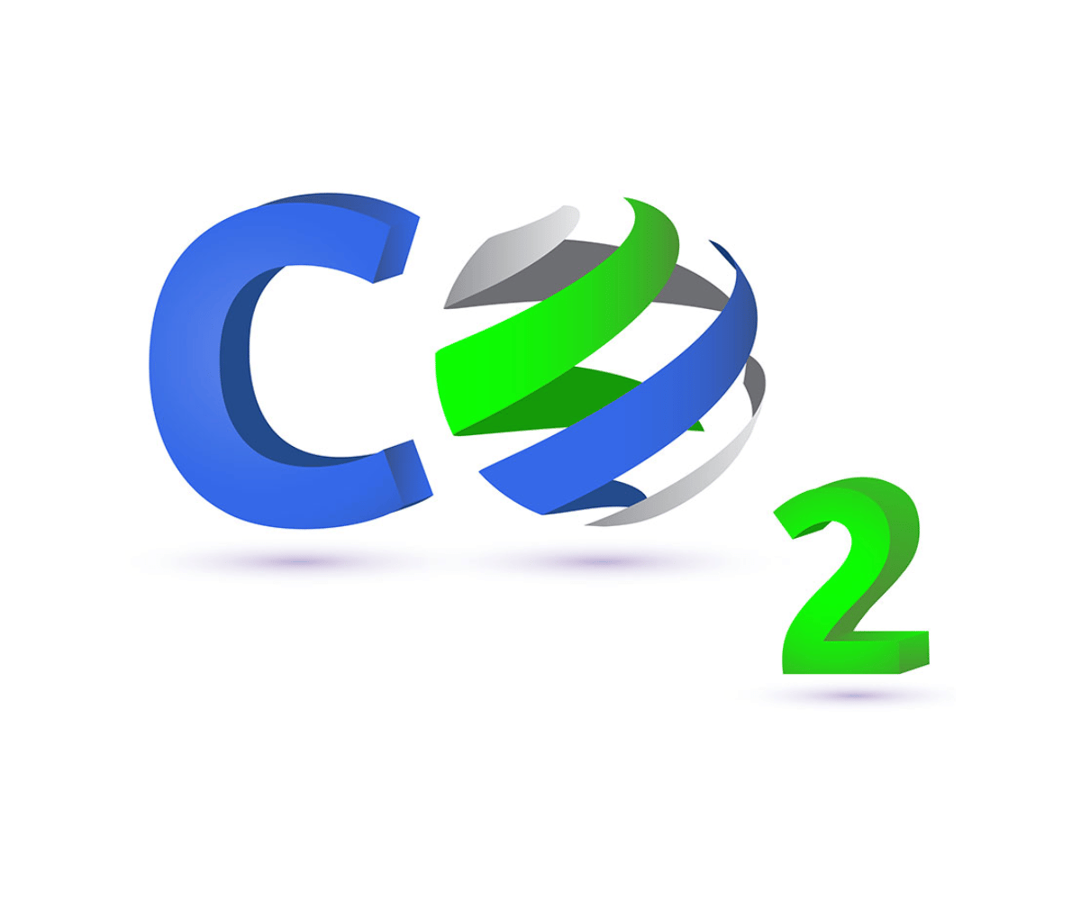 N2 CO2 logo