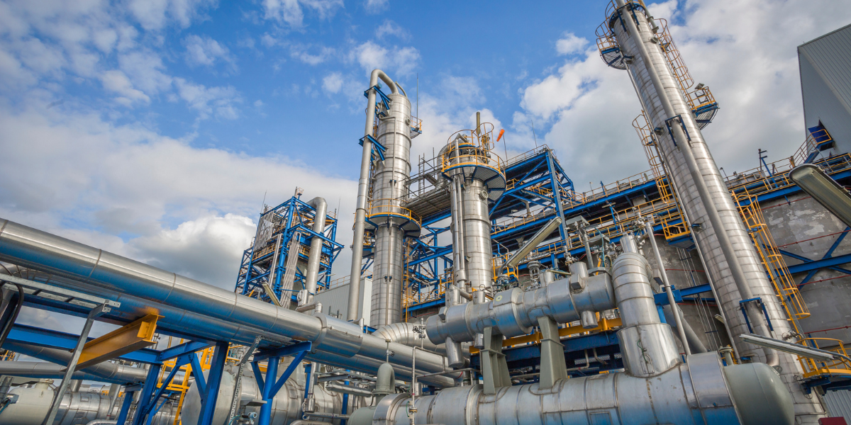 Untitled design (19)