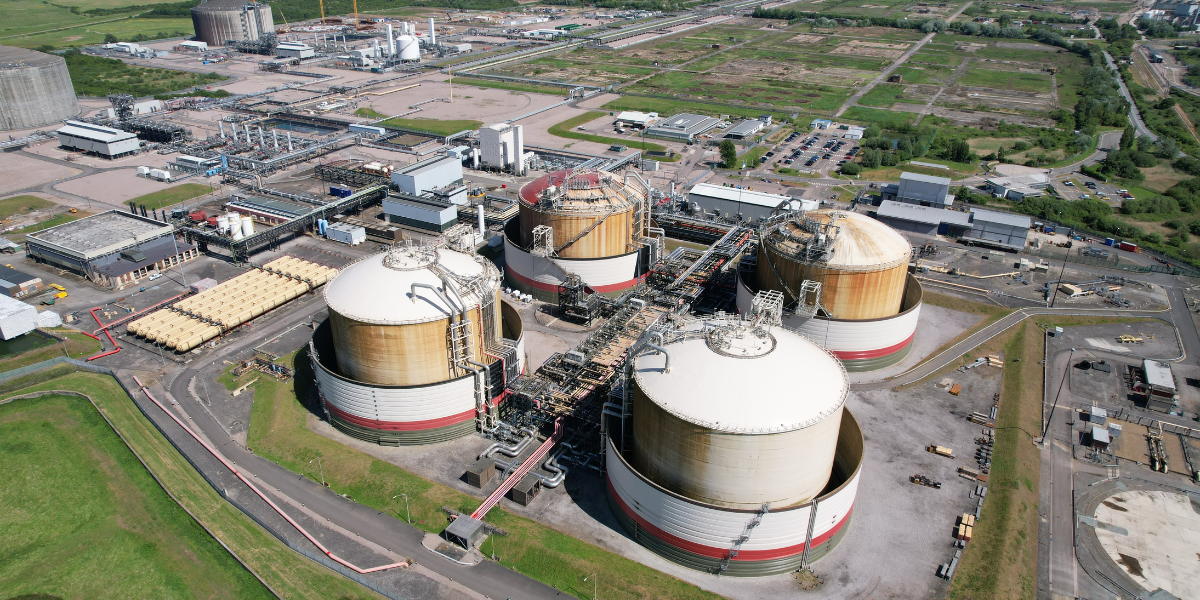 Untitled design (22)