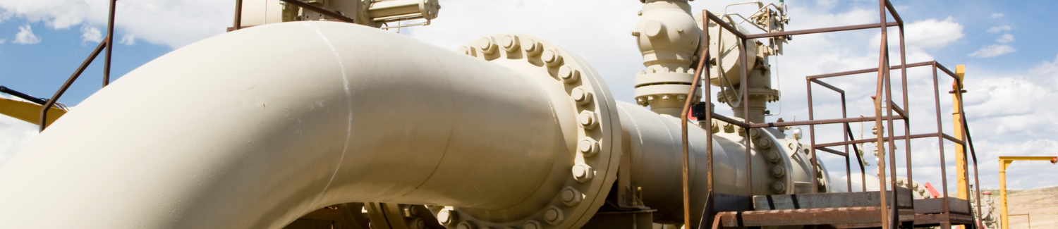 Untitled design (24)